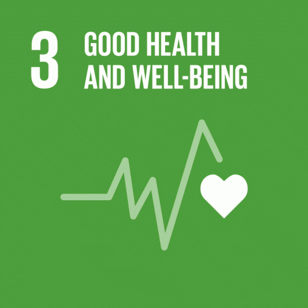 SDG 3