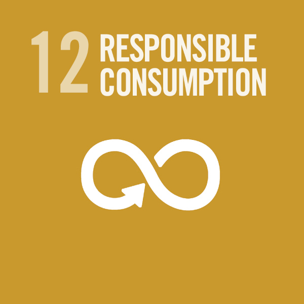 SDG 12